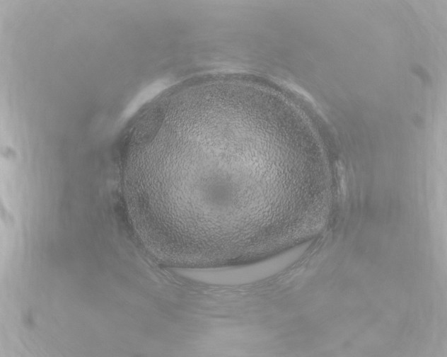 X0000090951255200708091322