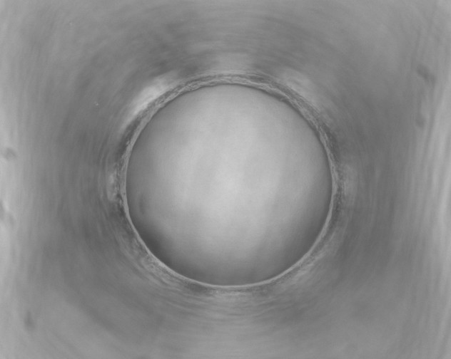 X0000090951258200708091322