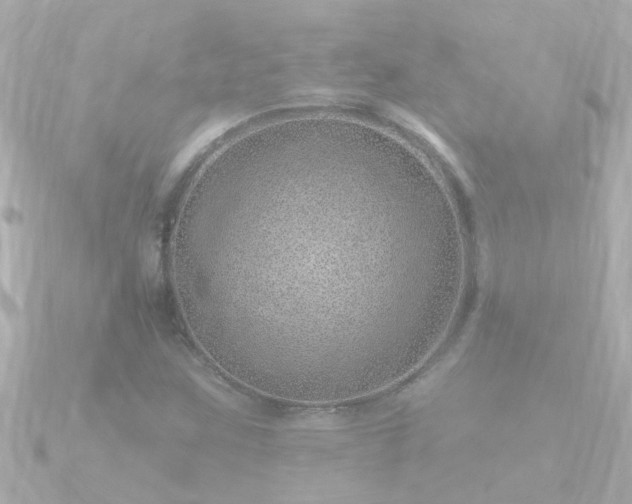 X0000090951259200708091322