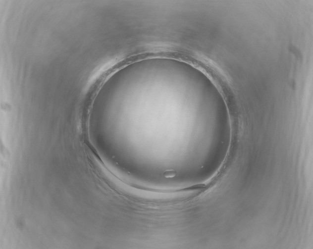 X0000090951261200708091322