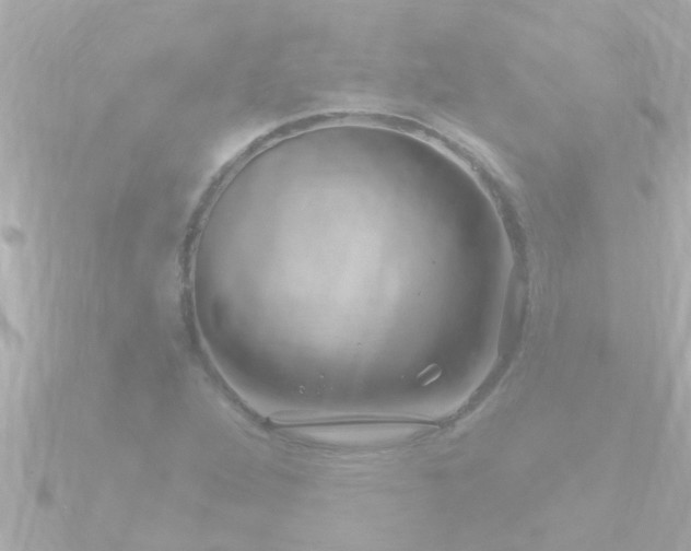 X0000090951264200708091322