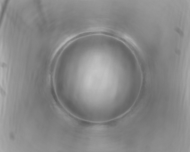 X0000090951268200708091322