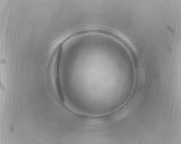 X0000090951269200708091322