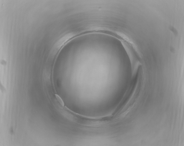 X0000090951273200708091322