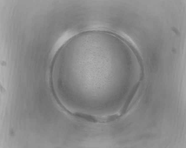X0000090951277200708091322