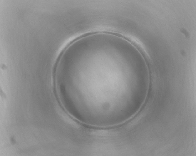 X0000090951280200708091322