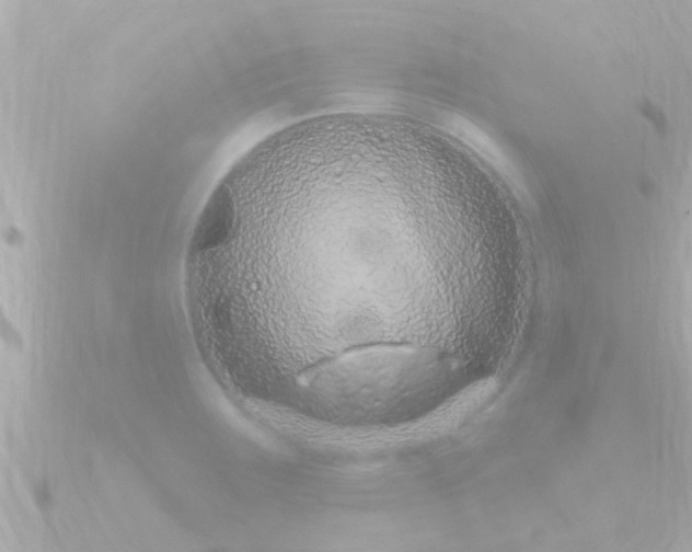 X0000090951283200708091322