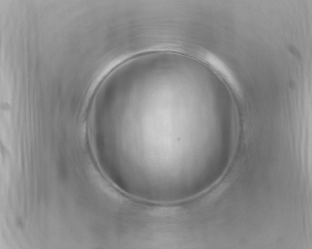 X0000090951284200708091322