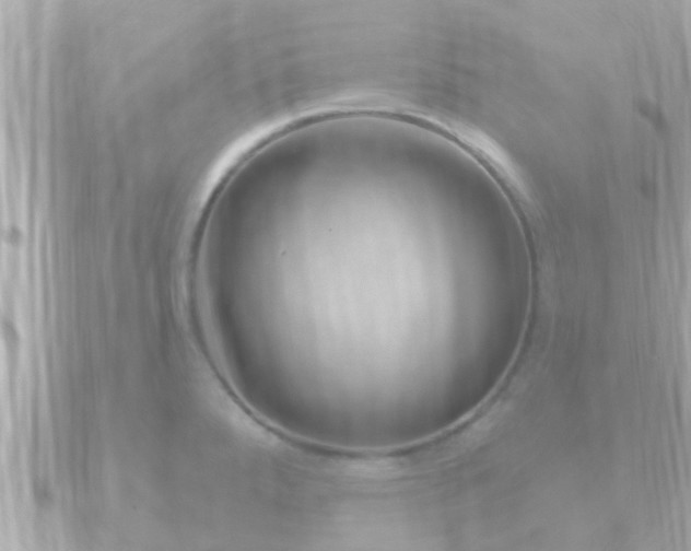 X0000090951288200708091322