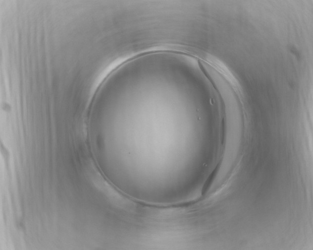 X0000090951292200708091321