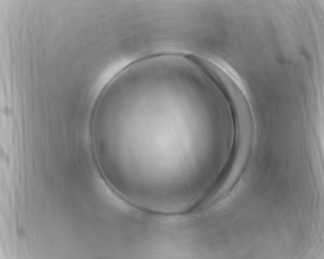 X0000090951293200708091321