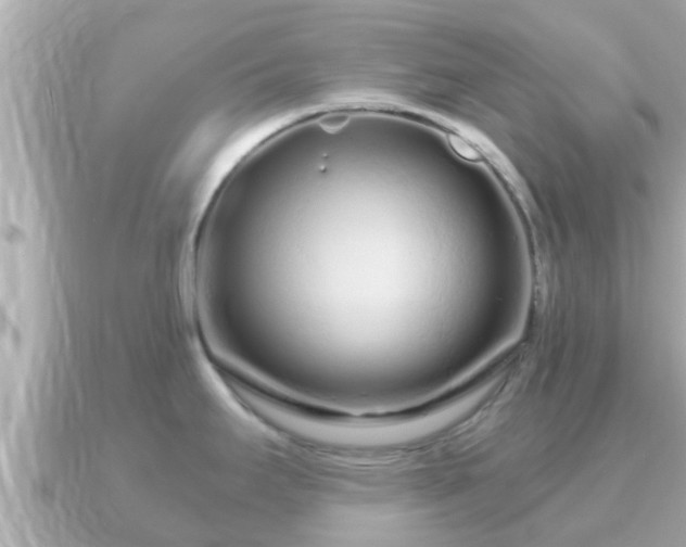 X0000090951295200708091321