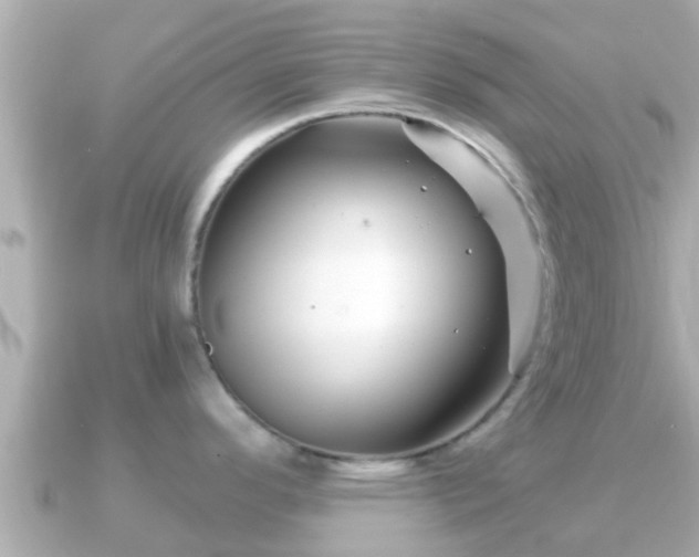 X0000090951296200708091321