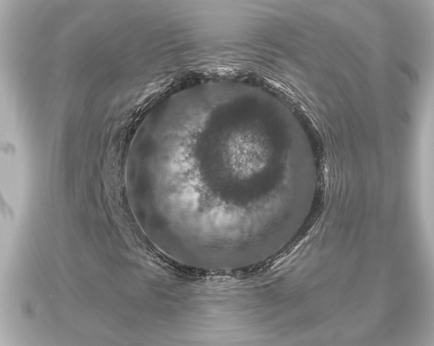 X0000090951297200708091321