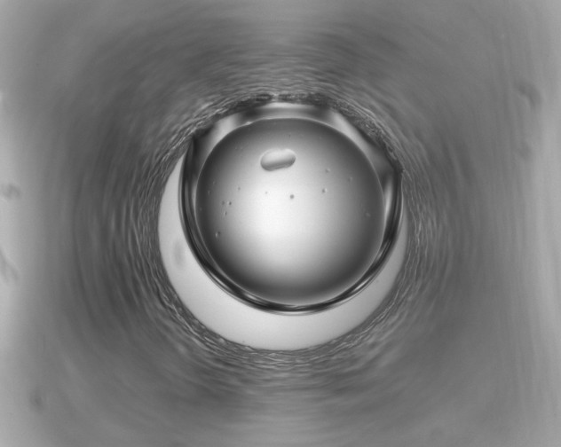 X0000090951298200708091321