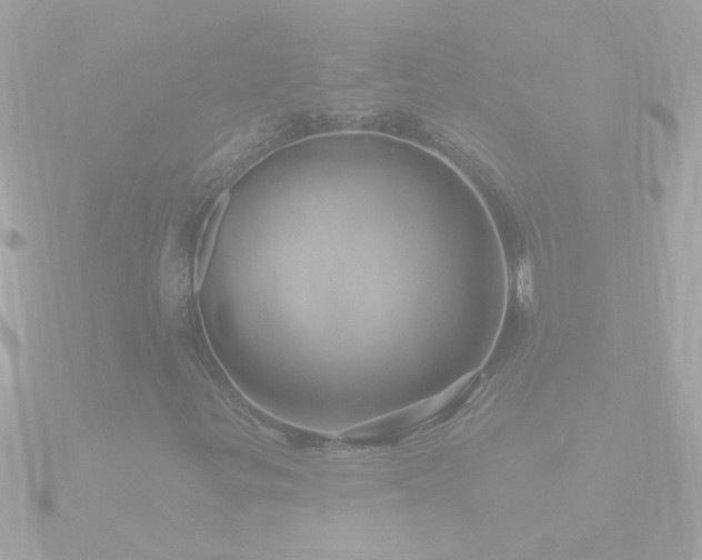 X0000090951299200708091321