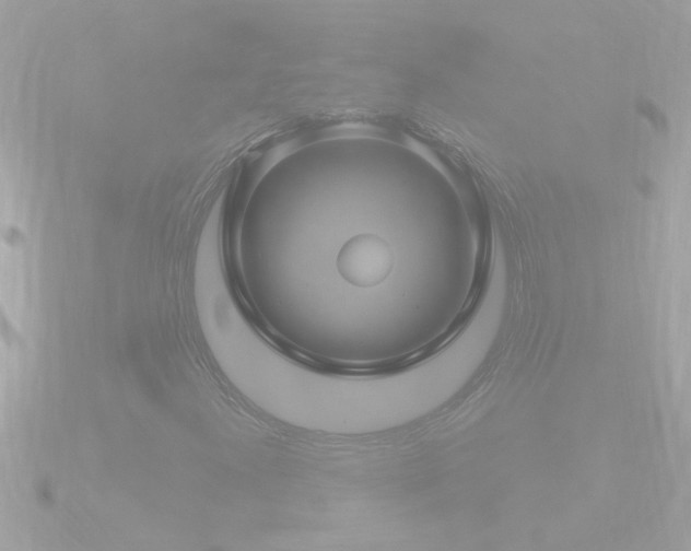 X0000090951300200708091321