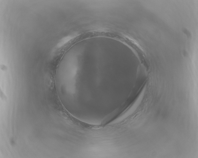 X0000090951303200708091321