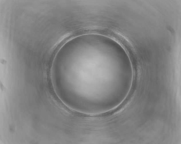 X0000090951305200708091321