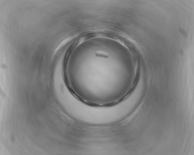 X0000090951306200708091321