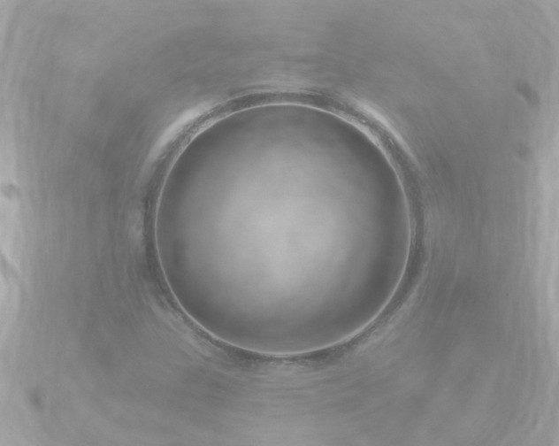 X0000090951307200708091321