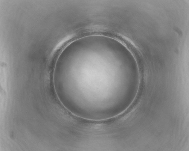 X0000090951309200708091321