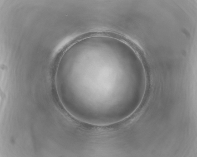 X0000090951311200708091321