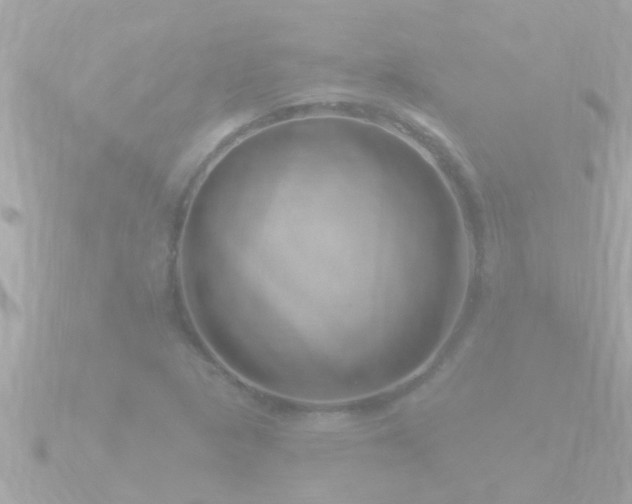 X0000090951313200708091321