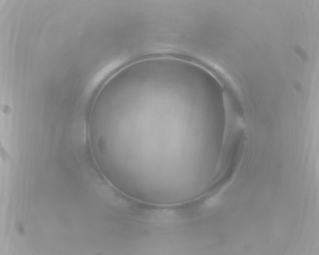 X0000090951317200708091321