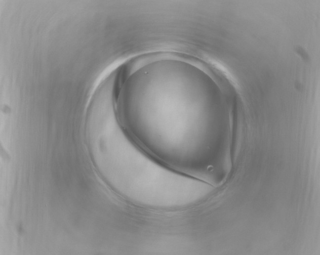 X0000090951324200708091321
