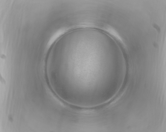 X0000090951325200708091321