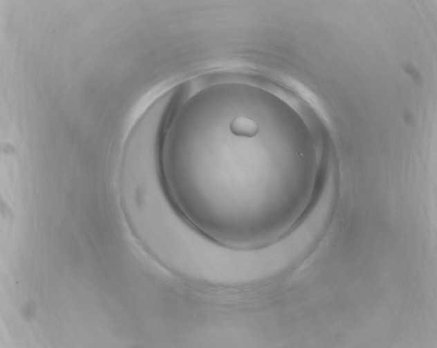 X0000090951330200708091321