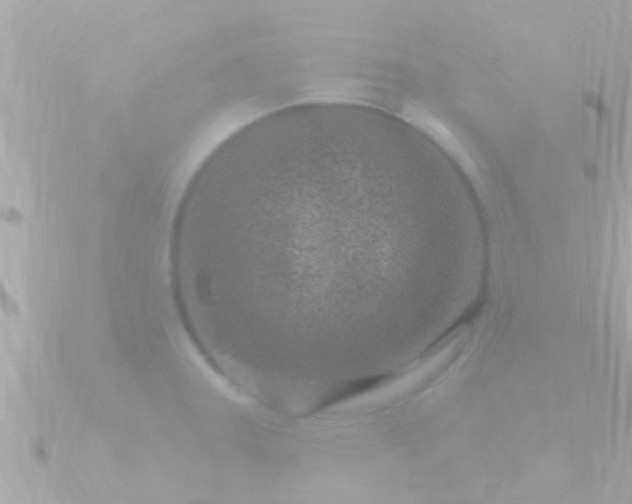 X0000090951331200708091321