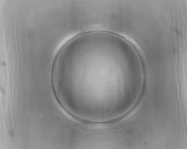 X0000090951333200708091321