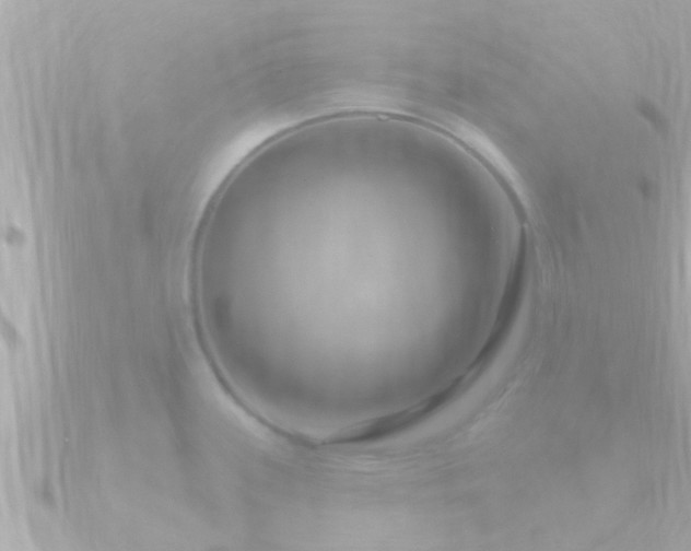 X0000090951339200708091321