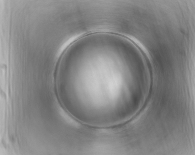 X0000090951341200708091321
