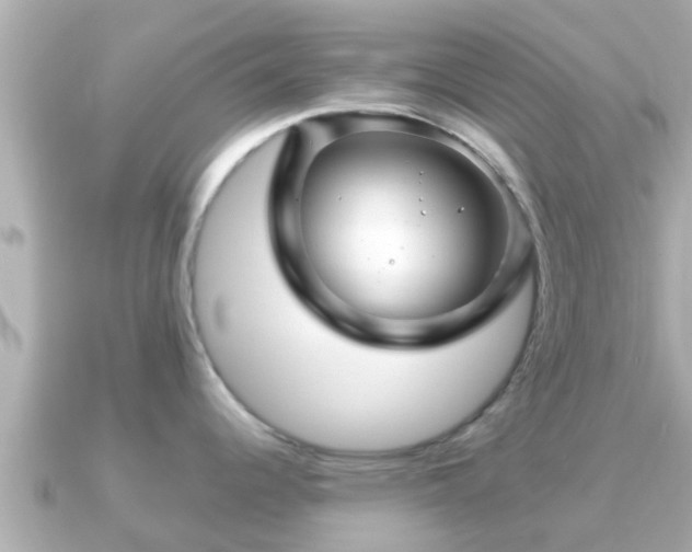 X0000090951344200708091321