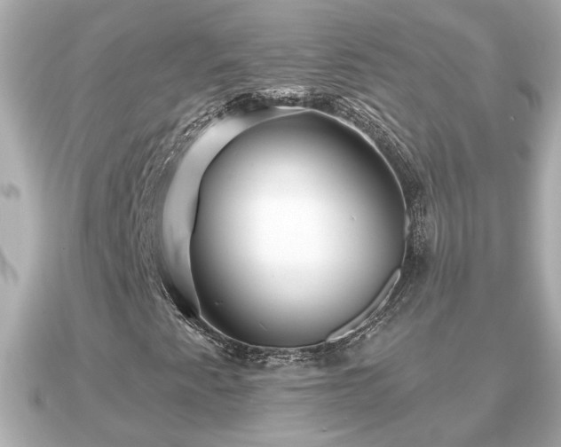 X0000090951345200708091321