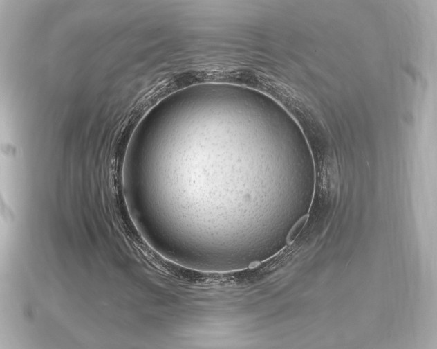X0000090951346200708091321