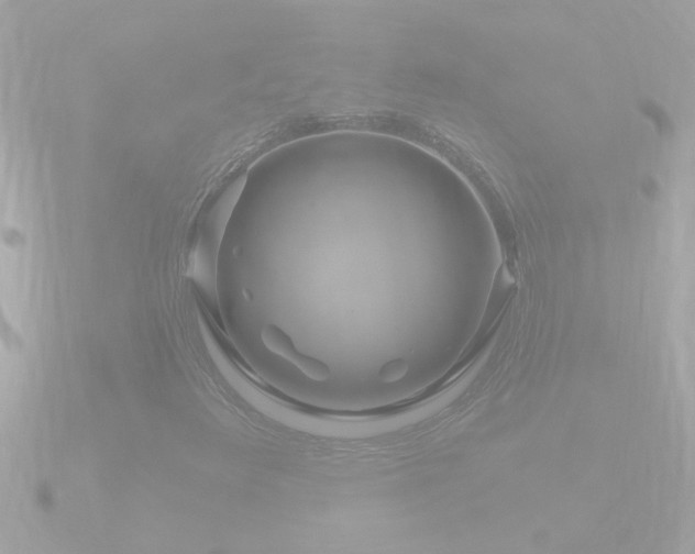 X0000090951348200708091321