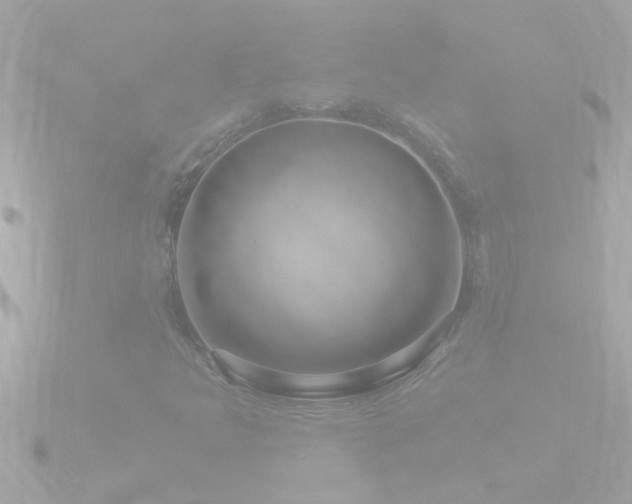 X0000090951349200708091321