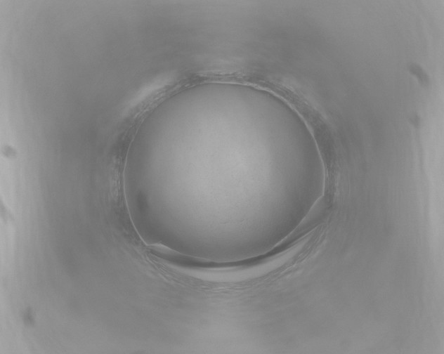 X0000090951350200708091321