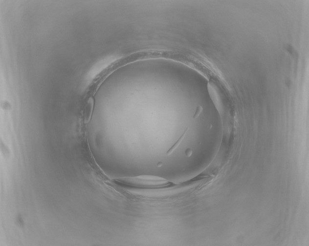 X0000090951352200708091321