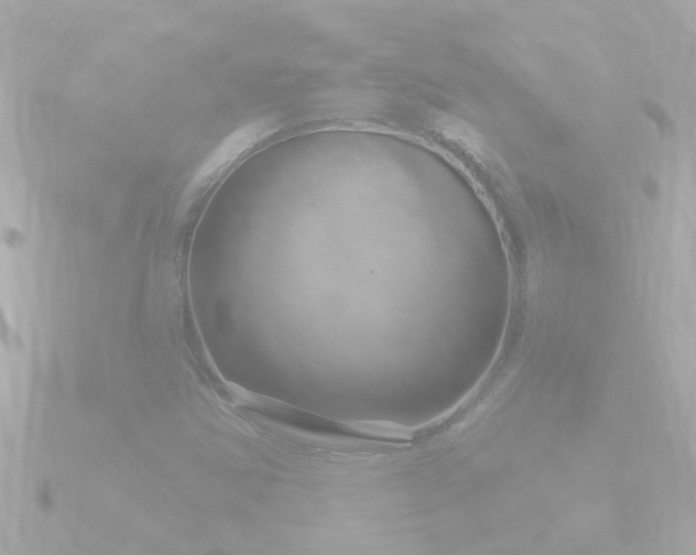 X0000090951354200708091321