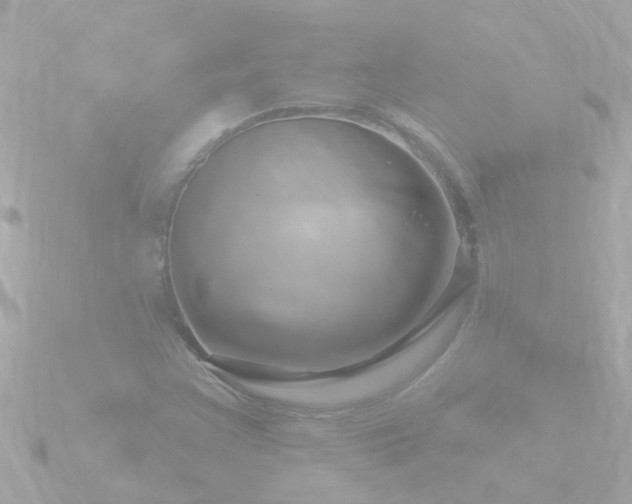 X0000090951355200708091321