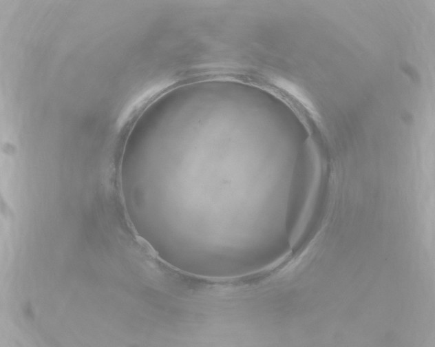 X0000090951357200708091321