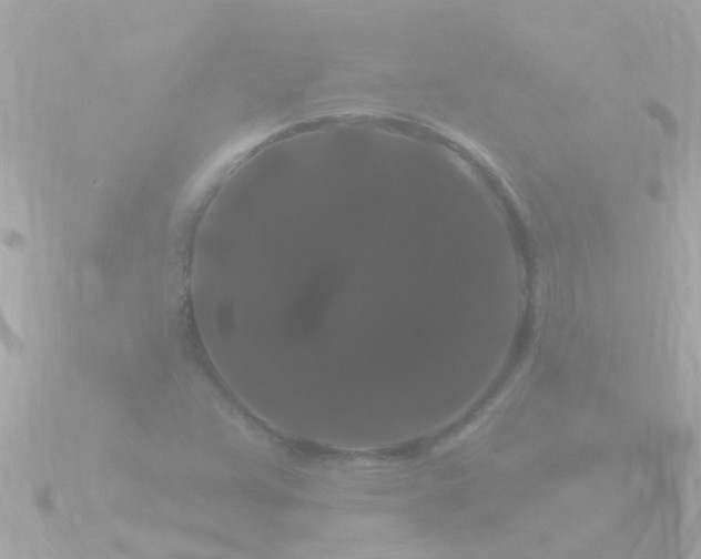 X0000090951359200708091321