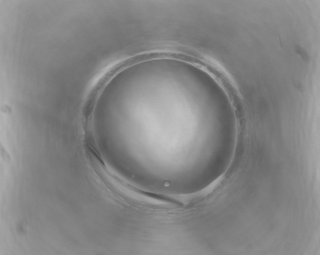 X0000090951360200708091321