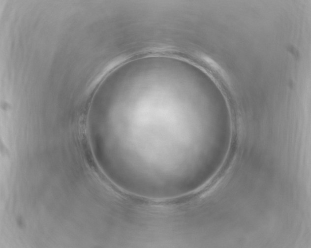 X0000090951361200708091321