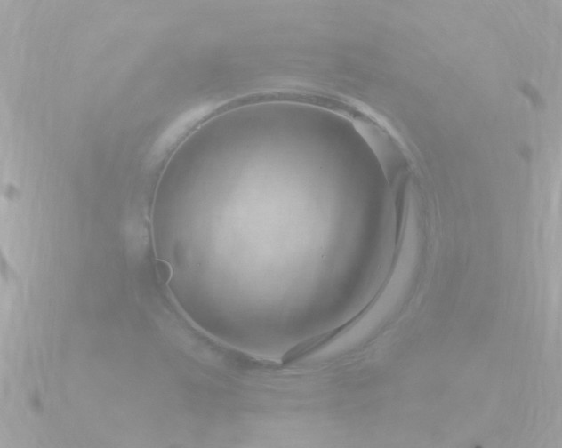 X0000090951363200708091321